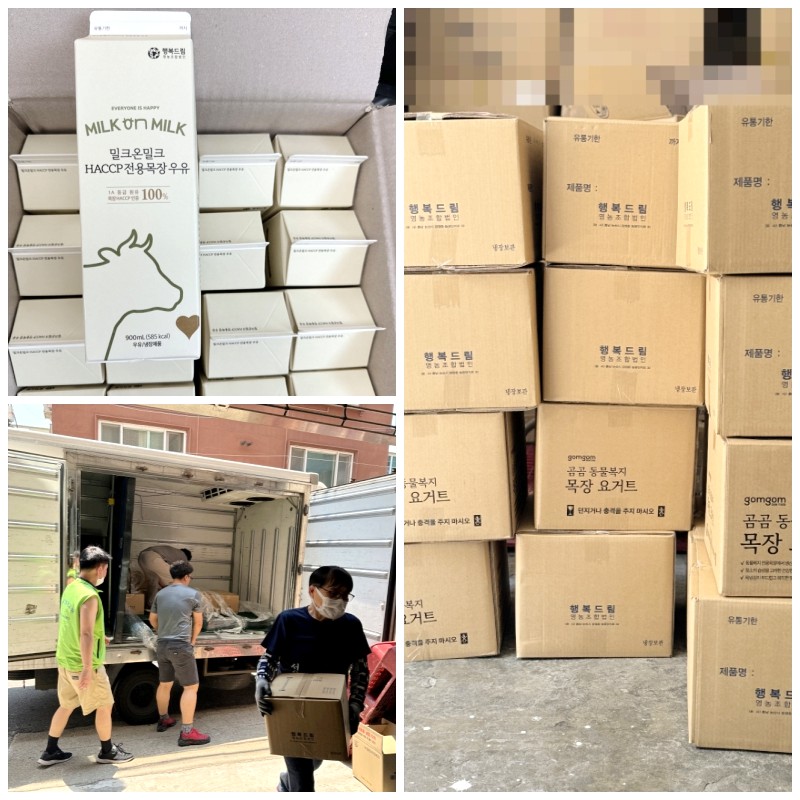 �����̹�������:layout 2024-6-13.jpg